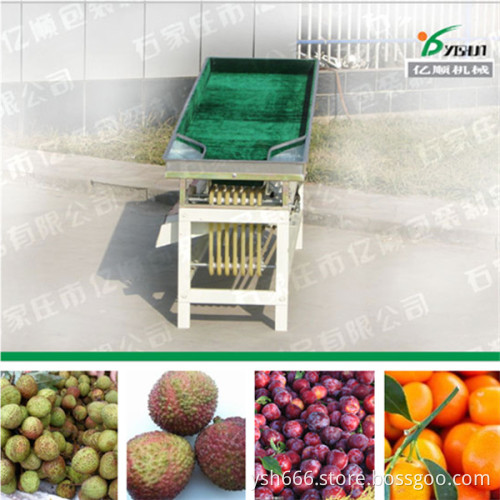 Lychee sorting machine factory price YSXT-1C